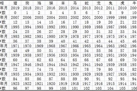 81年次屬猴|生肖猴: 性格，愛情，2024運勢，生肖1992，2004，2016